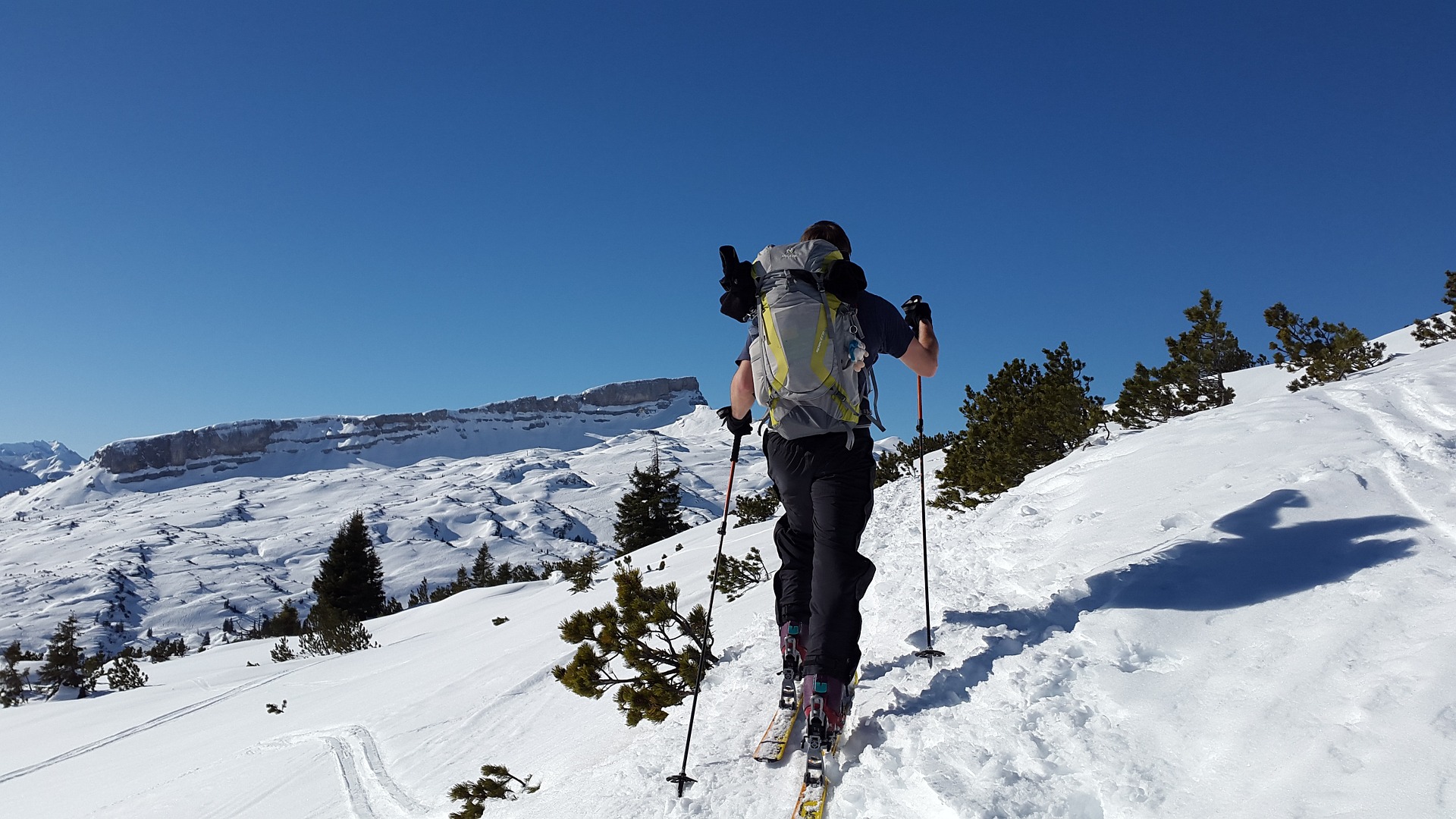 バックカントリー初心者の道具選び 〜三種の神器 その1ビーコン編〜 | SKI NUT